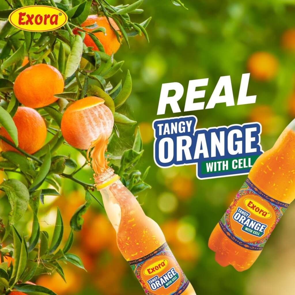 exora_orange_2